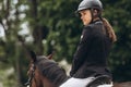 Rider in action on a dressage horse. An abstract shot of a horse during a competition Royalty Free Stock Photo