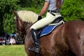 Rider on a bay horse at the championship riding close-up. Equestrian sport, Grudziadz, Poland - June 18, 2023