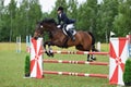 Rider on bay horse jumping obstacle at Concours Hippique show Royalty Free Stock Photo