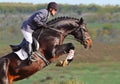 Rider on bay horse in jumping show