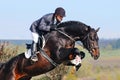 Rider on bay horse in jumping show Royalty Free Stock Photo