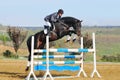 Rider on bay horse in jumping show