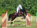 Rider on bay horse in sports jumping at Concours Hippique show Royalty Free Stock Photo