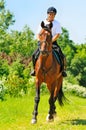 Rider on bay sportive horse Royalty Free Stock Photo