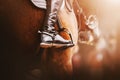 A rider in black boots with spurs sits on a bay racehorse in the saddle with stirrups. Equestrian sports. Horse riding Royalty Free Stock Photo