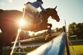 rider in blue leading horse over a sunlit oxer jump Royalty Free Stock Photo