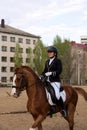 Rider on chestnut horse with urban backdrop