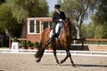 Rider competing in dressage competition classic, Montenmedio