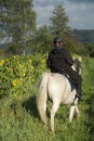 Rider and dandelions Royalty Free Stock Photo