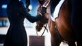 A Rider Adjusts The Stirrup On The Saddle, Wear On A Strong Bay Horse. Equestrian Sport. Horseback Riding. Dressage