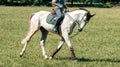 Rider on dressage horse on green field on sunny day. Equestrian sport. Side view