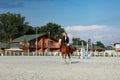 Rider elegant woman riding her horse outside