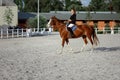 Rider elegant woman riding her horse outside