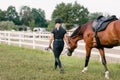 Rider in equestrian clothes holding the reins and leading horse, side view Royalty Free Stock Photo