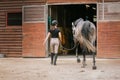 Rider in equestrian clothes holding the reins and leading horse to stables Royalty Free Stock Photo