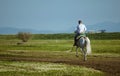 rider galloping on a white horse through the meadow Royalty Free Stock Photo