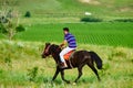 A rider on the grassland Royalty Free Stock Photo