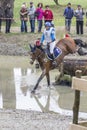 Rider and horse Royalty Free Stock Photo