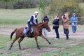 Rider and horse Royalty Free Stock Photo