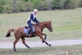 Rider and horse Royalty Free Stock Photo