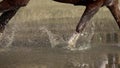 Rider with horse crossing water