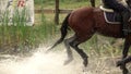 Rider with horse crossing water