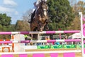 Rider Horse Jumping Closeup Royalty Free Stock Photo