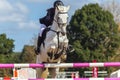 Rider Horse Jumping Closeup Royalty Free Stock Photo