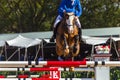 Rider Horse Jumping Closeup Royalty Free Stock Photo