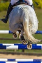 Rider Horse Jumping Closeup Rear Hoofs Royalty Free Stock Photo