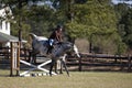 Rider and horse jumping hurdles