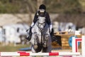 Rider Horse Jumping Poles Royalty Free Stock Photo