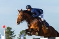 Rider Horse Jumping Royalty Free Stock Photo