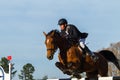 Rider Horse Jumping Royalty Free Stock Photo