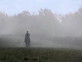 Rider on a horse in a misty morning Royalty Free Stock Photo