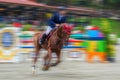 Rider and horse at show jumping