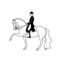 Rider and horse show spanish walk Royalty Free Stock Photo