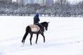 rideron horse walking through snowy landscape