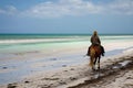 rider on horseback in casual attire on a deserted beach Royalty Free Stock Photo