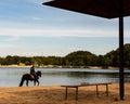 Rider on horseback and an empty bottle of vodka on a bench. Moscow, Russia