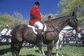 Rider on horseback observing steeplechase field,