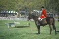 Rider on horseback observing steeplechase field, Prind Steeplechase Glenwood Park, Middleburg, Virginia