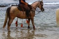 Rider on horseback riding on the Mediterranean coast Royalty Free Stock Photo