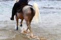 Rider on horseback riding on the Mediterranean coast Royalty Free Stock Photo