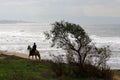 Rider on horseback riding on the Mediterranean coast Royalty Free Stock Photo