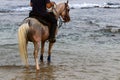 Rider on horseback riding on the Mediterranean coast Royalty Free Stock Photo