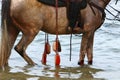 Rider on horseback riding on the Mediterranean coast Royalty Free Stock Photo