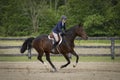 Rider laughs while galloping bay horse