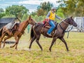 Murrurundi, NSW, Australia, 2018, February 24: Competitor in the King of the Ranges Stockman`s Challenge