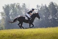 Rider man and black stallion horse galloping during eventing cross country competition Royalty Free Stock Photo